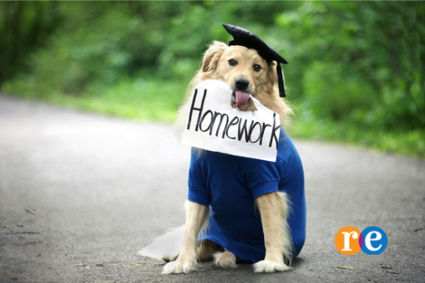 Dog wearing a graduation cap holding a paper with Homework written on it